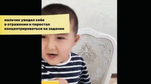 Запуск понимания и речи у ребенка 4,7 лет. СЕНСОРНАЯ алалия. Прогресс за 1,5 года коррекции у нас.