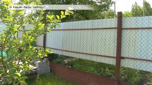 Время местное. Эфир: 30-06-2025 - Каким быть забору?