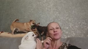 Спасибо за донат, новые функции Дзена, подписывайтесь на наш Рутуб.