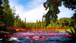 Ночь глубокая,тихо стоят сады..