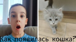История Как ПОЯВИЛАСЬ КОШКА! **Наш новый член семьи**