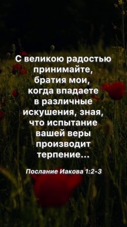 Испытание веры производит терпение #вера #мотивация #христианство