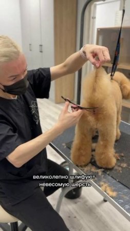 Виктория Смирнова советует!