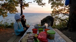 Кемпинг с детьми, или как справиться со стрессом без психолога и лекарств