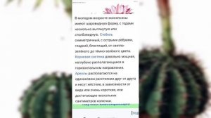 Вместо постскриптума.mp4