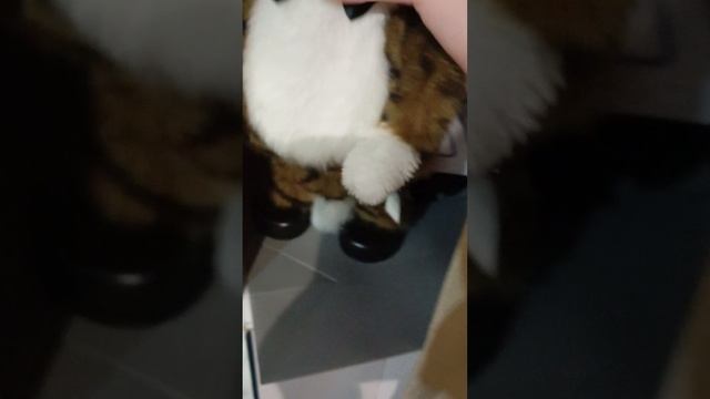 патрульский кот