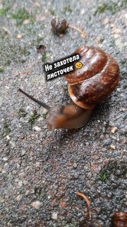 Интересно, почему? ☺️