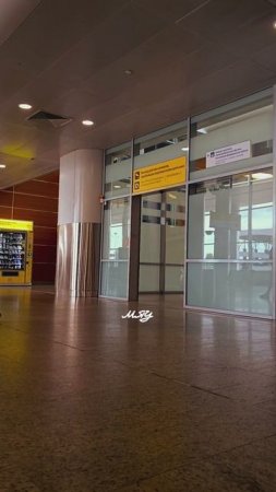 Он уехал на сессию в Новосибирск, а у меня на середину его сессии приходилась защита диплома 🥲