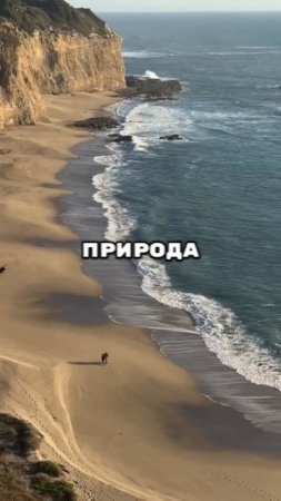 Перезагрузка