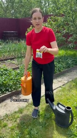 Главная подкормка для клубники🔥