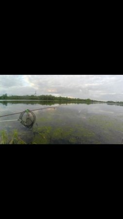 Летняя рыбалка на донку.