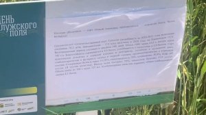 День поля Калуга