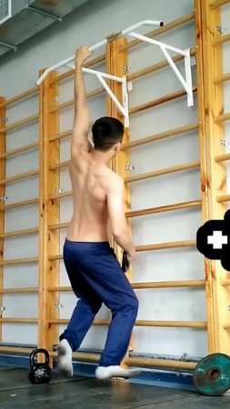 2 one arm pull ups +2,5 kg