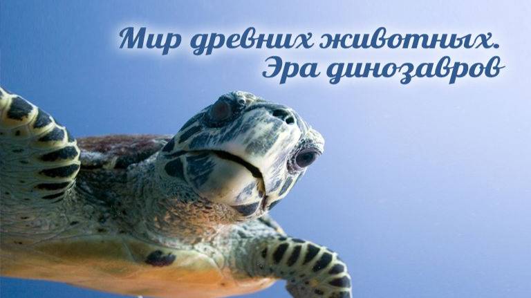 Динозавры # 1.2. Палеонтологические исследования