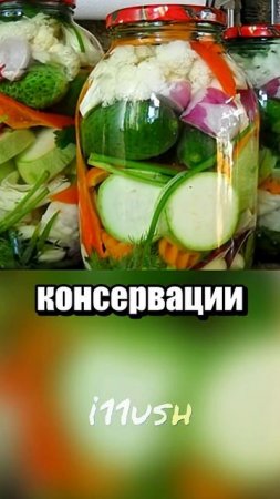 Глина вместо холодильника