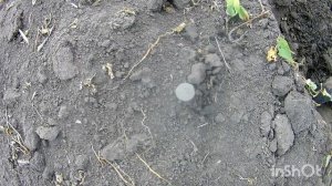 СУПЕР НАХОДКИ,  НО...... коп по старине