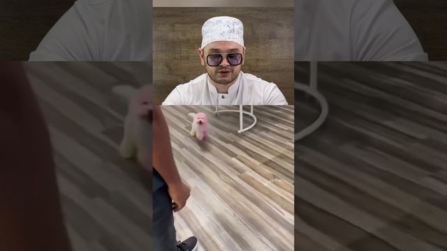 Необычные окрасы 😃