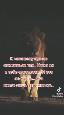 очень верные слова)