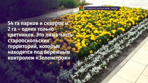 Старый Оскол – под бережным контролем «Зеленстроя»