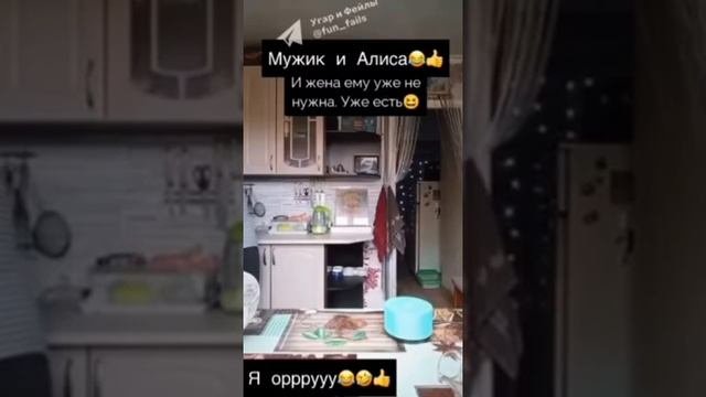 Мужик и Алиса