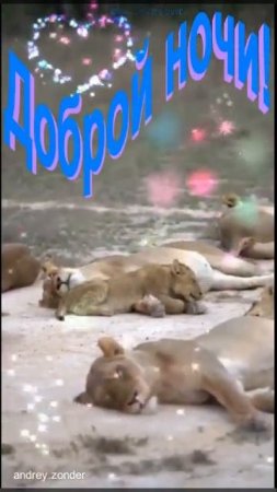 Доброй ночи!) Красивых снов) #добройночи