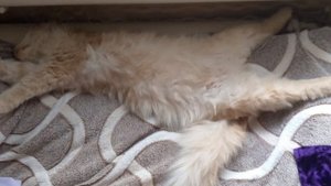 наше лето ☀️ 🤗😊