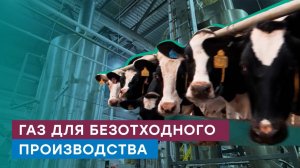 В Кировской области подключили к газу завод технических фабрикатов в деревне Кузнецы