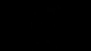 1000022234.mp4