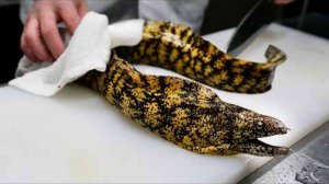 Японская кухня- суши из мурены.