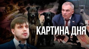 Картина дня - Депутат требует проверки аварийного моста, новый сквер в Чите, идентификация животных