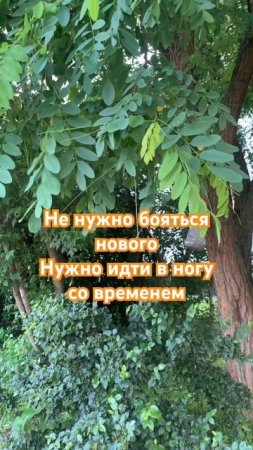 Новое