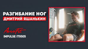 Метод Яшанькина: разгибание ног по-новому Impulse IT9505
