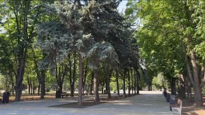 Иногда для спокойствия души нужно пойти на свидание. На свидание с природой.