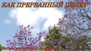 КАК ПРЕРВАННЫЙ ПОЛЁТ Стихи о любви от сердца к сердцу