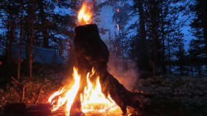 Кольский 2017 тизер