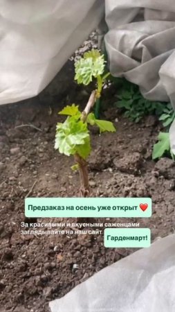 Вдохновляющие результаты наших покупателей!
