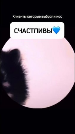 stock-potolok.ru.  #натяжные_потолки #потолки