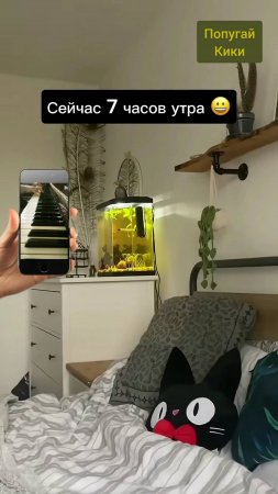 Когда тебя просили замолчать, а в итоге тебе сели подыграть! 🐦🎹😂