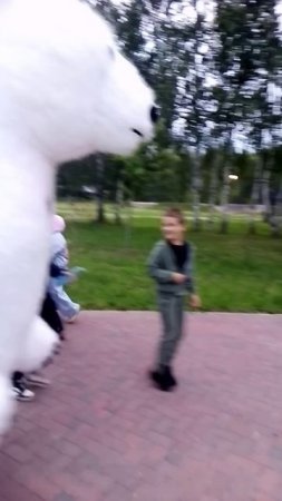Белые Медведи Гулять В Зеленодольске