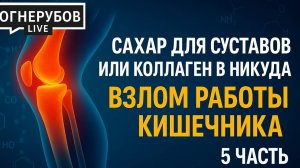 Сахар для суставов или коллаген в никуда. Взлом работы кишечника