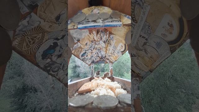 1000045619.mp4Жизнь кормушки. 30.06.2025г.