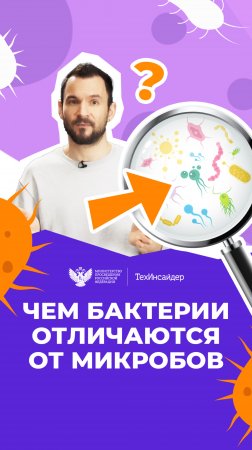 Чем микробы отличаются от бактерий и что такое бациллы?