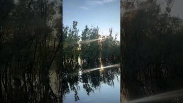 Лучшие советские лодки Обь-м, Казанка 5м2, Прогресс 2, Казанка 5м3.