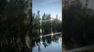 Лучшие советские лодки Обь-м, Казанка 5м2, Прогресс 2, Казанка 5м3.