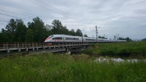 Сапсан, только медленный, медленный.