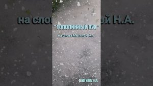 ТОПОЛИННЫЙ ПУХ
2025-6-13-2-40-41