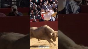 игры с быком