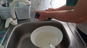 крыс Реми купается