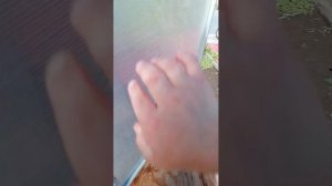 Нас затопило.