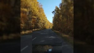 Тема дороги / Осень